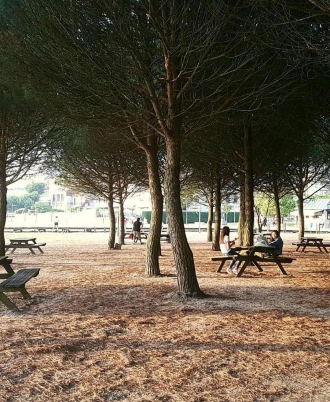 Apto Cortegada Vilagarcia de Arousa Rom bilde